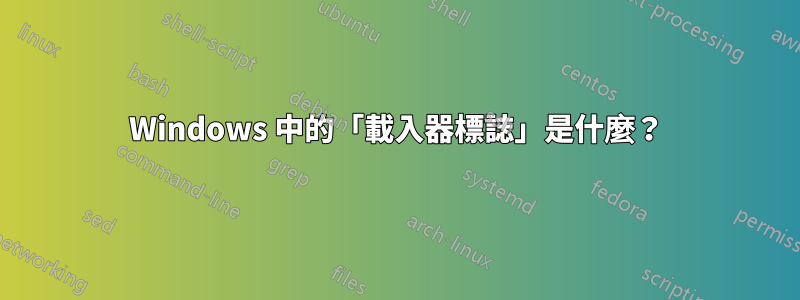 Windows 中的「載入器標誌」是什麼？