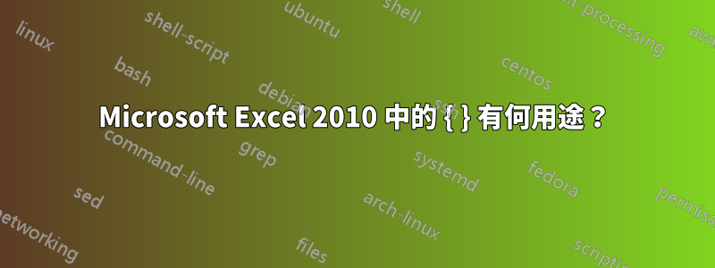 Microsoft Excel 2010 中的 { } 有何用途？