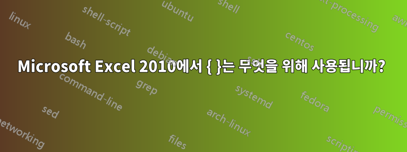 Microsoft Excel 2010에서 { }는 무엇을 위해 사용됩니까?