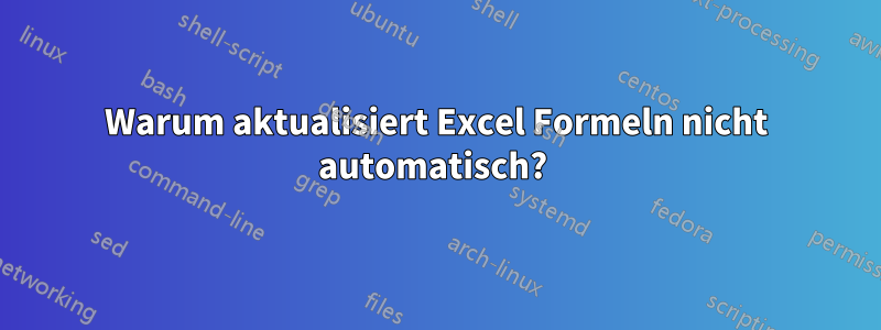 Warum aktualisiert Excel Formeln nicht automatisch? 