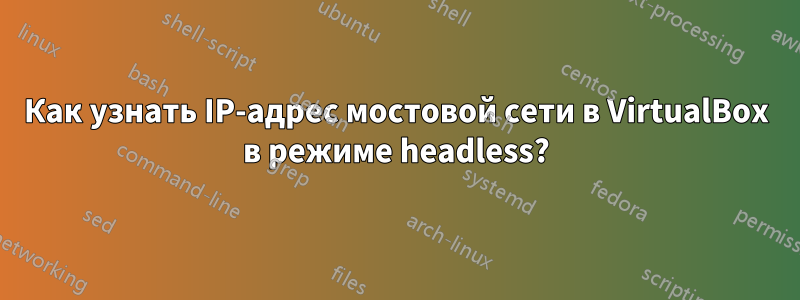 Как узнать IP-адрес мостовой сети в VirtualBox в режиме headless?