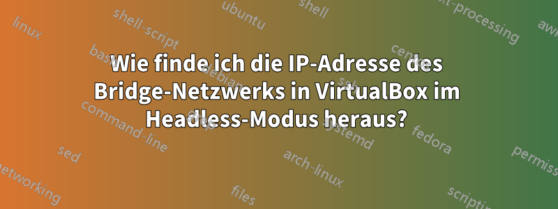 Wie finde ich die IP-Adresse des Bridge-Netzwerks in VirtualBox im Headless-Modus heraus?