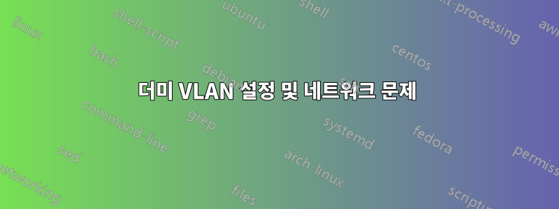 더미 VLAN 설정 및 네트워크 문제