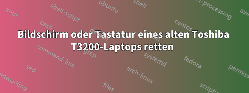 Bildschirm oder Tastatur eines alten Toshiba T3200-Laptops retten 