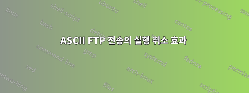 ASCII FTP 전송의 실행 취소 효과