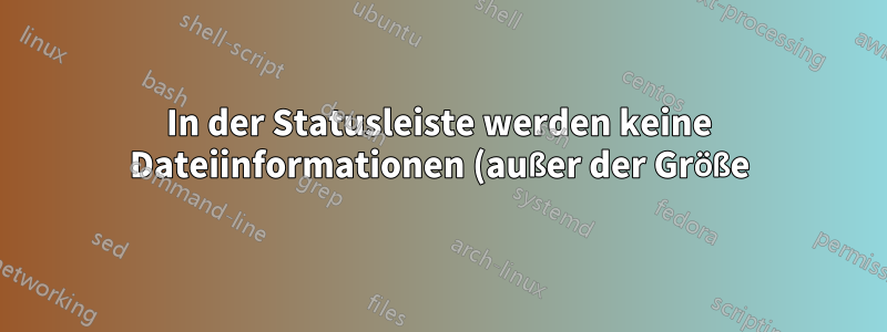 In der Statusleiste werden keine Dateiinformationen (außer der Größe) angezeigt