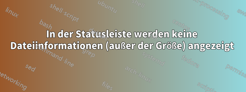 In der Statusleiste werden keine Dateiinformationen (außer der Größe) angezeigt