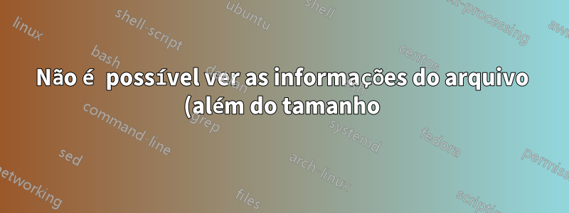 Não é possível ver as informações do arquivo (além do tamanho) na barra de status