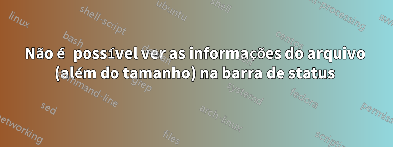 Não é possível ver as informações do arquivo (além do tamanho) na barra de status