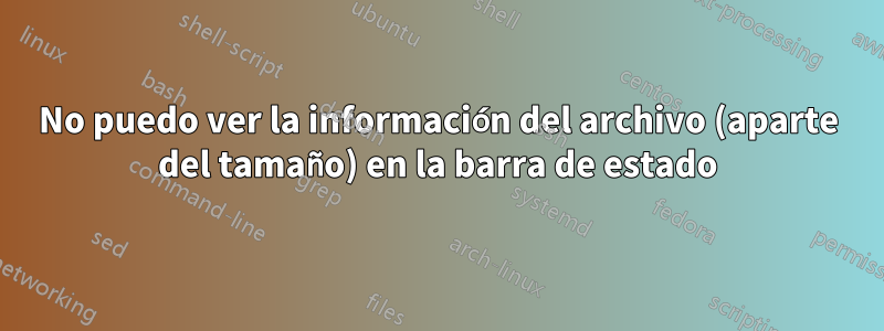 No puedo ver la información del archivo (aparte del tamaño) en la barra de estado