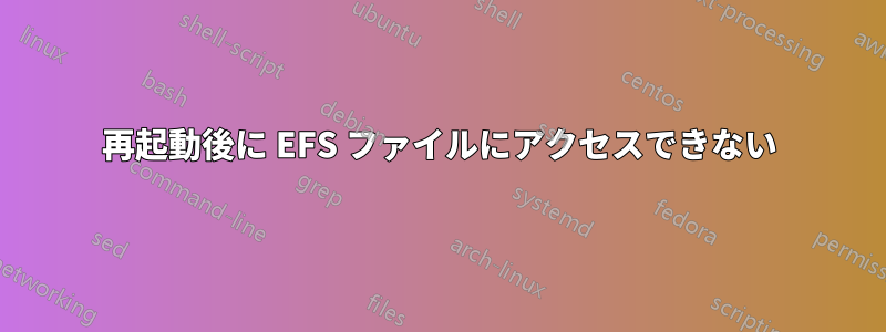 再起動後に EFS ファイルにアクセスできない