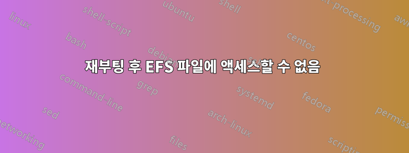 재부팅 후 EFS 파일에 액세스할 수 없음