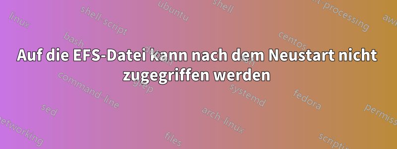 Auf die EFS-Datei kann nach dem Neustart nicht zugegriffen werden