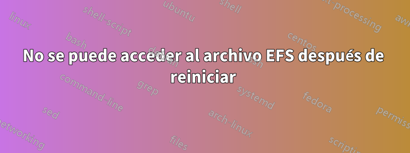 No se puede acceder al archivo EFS después de reiniciar