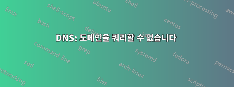 DNS: 도메인을 쿼리할 수 없습니다