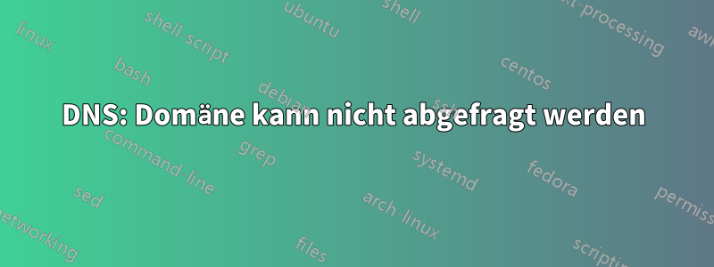 DNS: Domäne kann nicht abgefragt werden