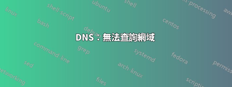 DNS：無法查詢網域