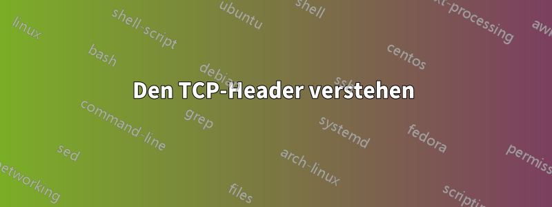 Den TCP-Header verstehen