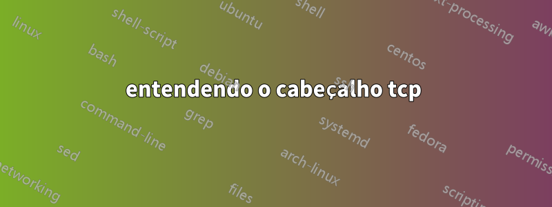 entendendo o cabeçalho tcp