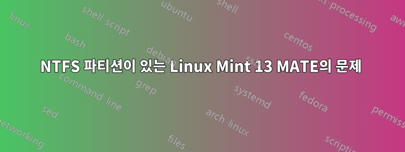 NTFS 파티션이 있는 Linux Mint 13 MATE의 문제