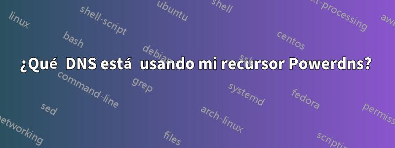 ¿Qué DNS está usando mi recursor Powerdns?