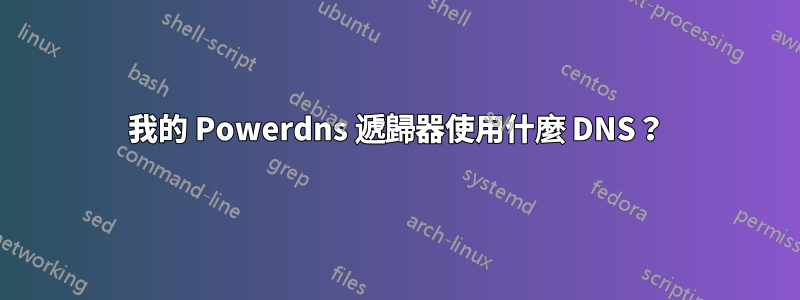 我的 Powerdns 遞歸器使用什麼 DNS？