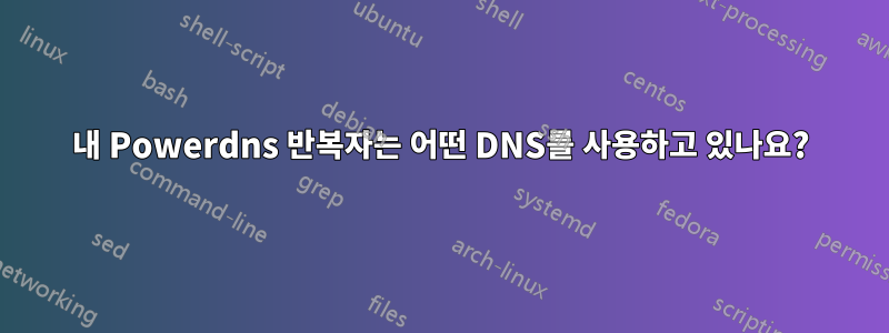 내 Powerdns 반복자는 어떤 DNS를 사용하고 있나요?