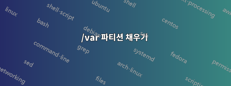 /var 파티션 채우기