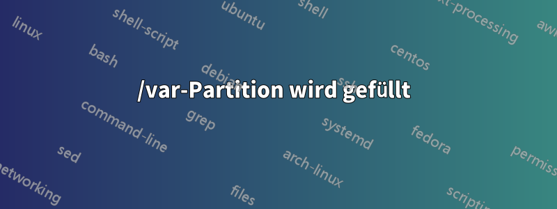 /var-Partition wird gefüllt 