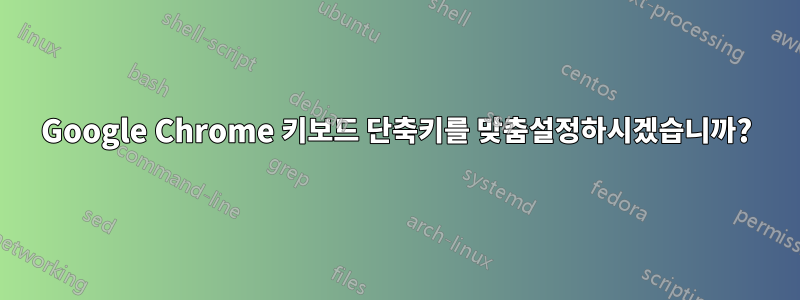 Google Chrome 키보드 단축키를 맞춤설정하시겠습니까?