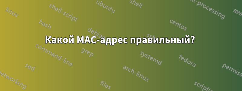 Какой MAC-адрес правильный?