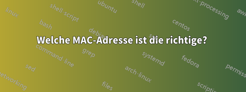 Welche MAC-Adresse ist die richtige?