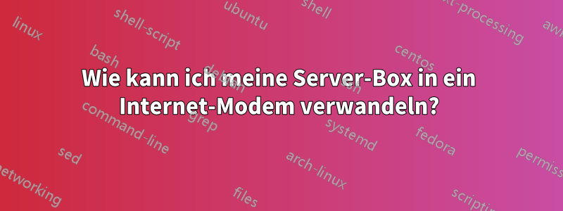 Wie kann ich meine Server-Box in ein Internet-Modem verwandeln?