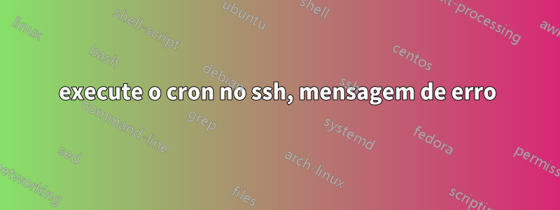 execute o cron no ssh, mensagem de erro