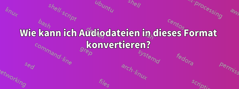 Wie kann ich Audiodateien in dieses Format konvertieren?