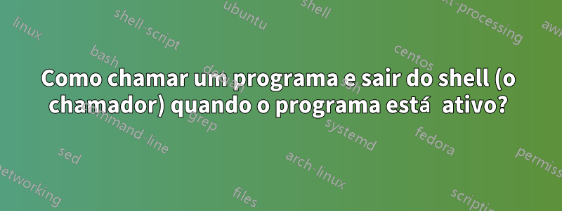 Como chamar um programa e sair do shell (o chamador) quando o programa está ativo?