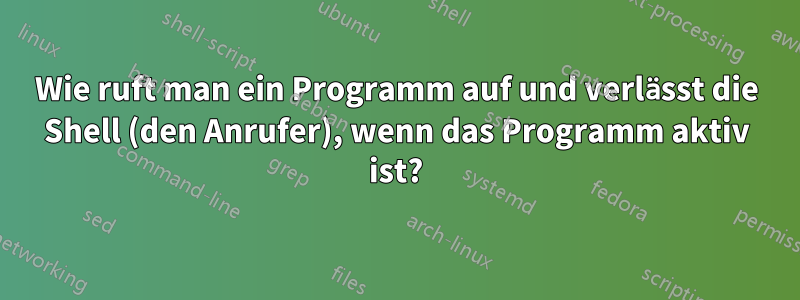 Wie ruft man ein Programm auf und verlässt die Shell (den Anrufer), wenn das Programm aktiv ist?