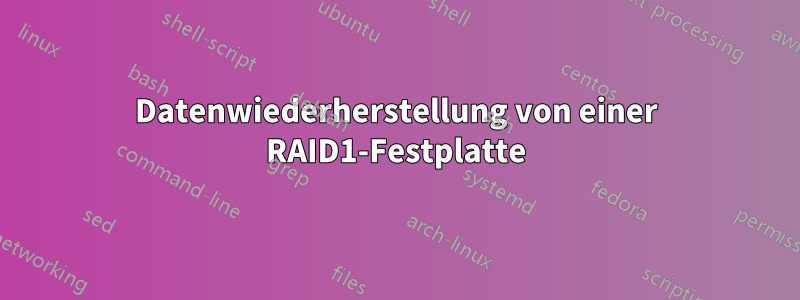 Datenwiederherstellung von einer RAID1-Festplatte