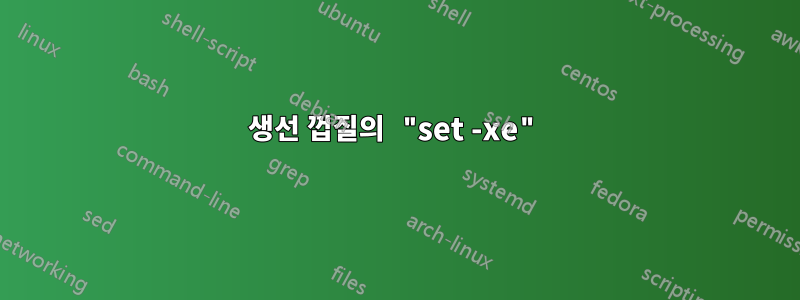 생선 껍질의 "set -xe"