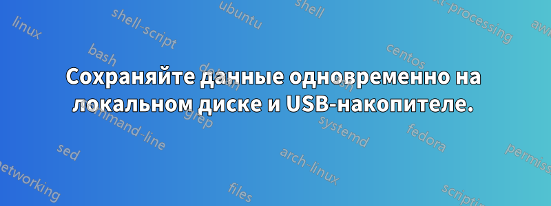 Сохраняйте данные одновременно на локальном диске и USB-накопителе.