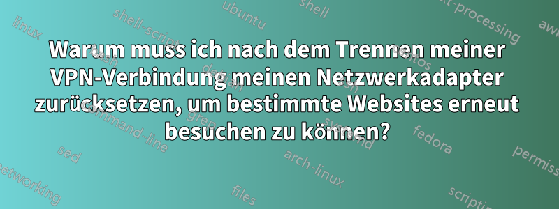 Warum muss ich nach dem Trennen meiner VPN-Verbindung meinen Netzwerkadapter zurücksetzen, um bestimmte Websites erneut besuchen zu können?