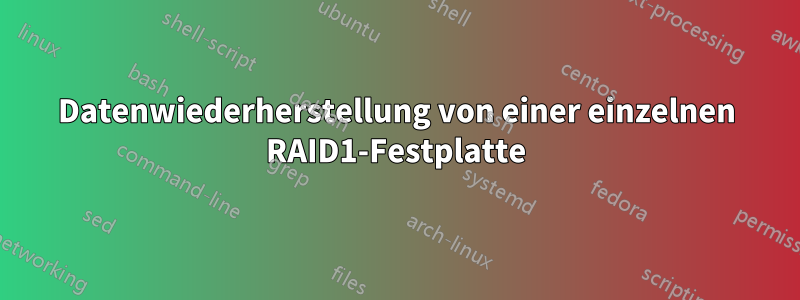 Datenwiederherstellung von einer einzelnen RAID1-Festplatte