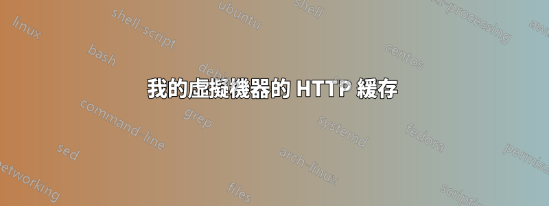 我的虛擬機器的 HTTP 緩存