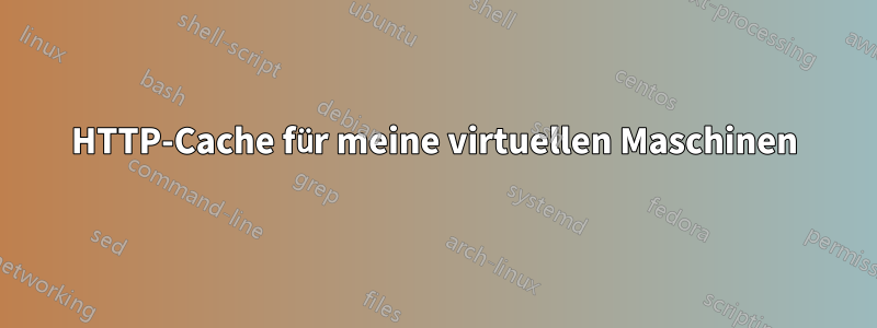 HTTP-Cache für meine virtuellen Maschinen