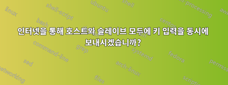 인터넷을 통해 호스트와 슬레이브 모두에 ​​키 입력을 동시에 보내시겠습니까?