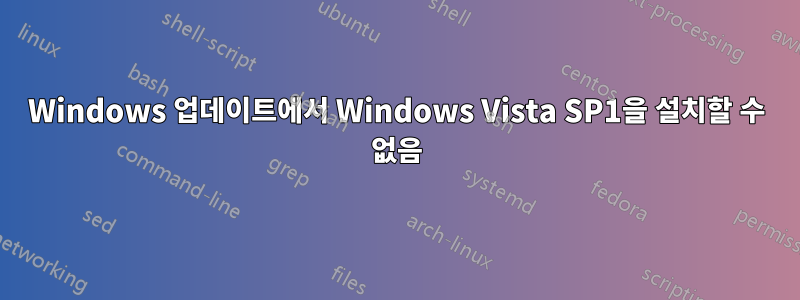 Windows 업데이트에서 Windows Vista SP1을 설치할 수 없음