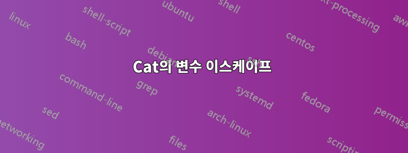 Cat의 변수 이스케이프