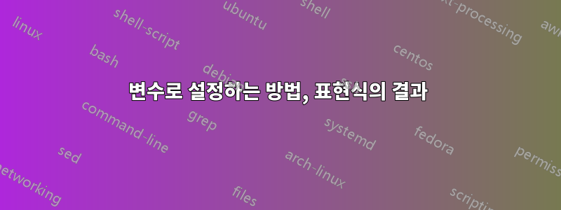 변수로 설정하는 방법, 표현식의 결과