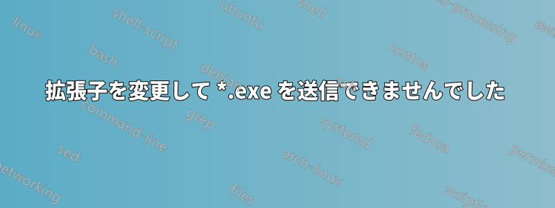 拡張子を変更して *.exe を送信できませんでした