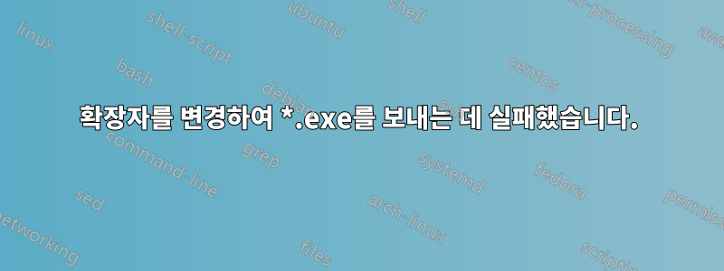 확장자를 변경하여 *.exe를 보내는 데 실패했습니다.